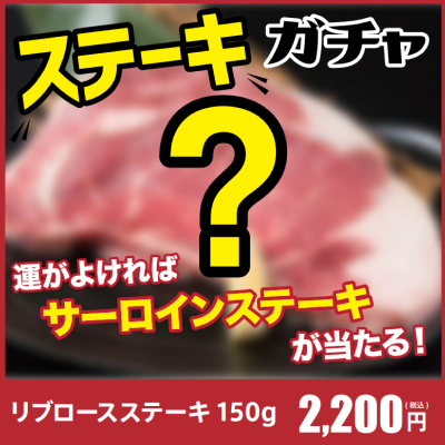 【ステーキガチャ用】ステーキ用（国産リブロース18P・A5サーロイン2P）★10個に1個はサーロインステーキのお肉があたる！