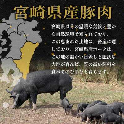 マンゴーポーク※別途容器必須