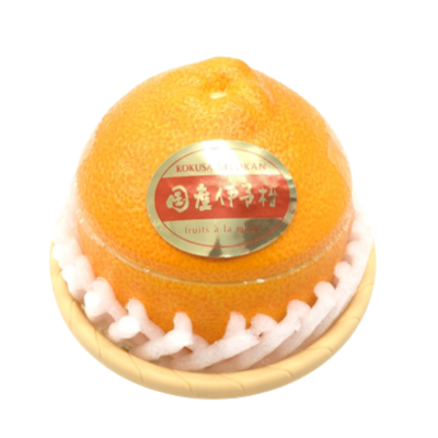 商品イメージ　伊予柑