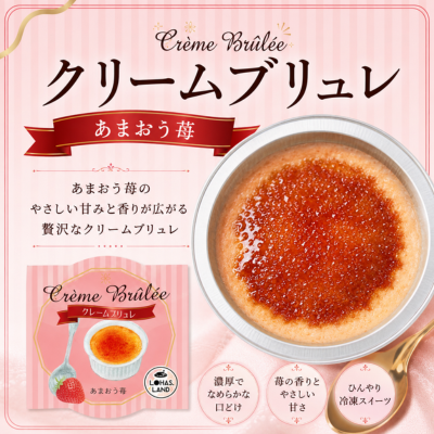 表示パネル 