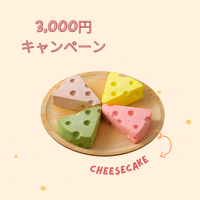 【3,000円引きキャンペーン】穴あきチーズケーキ